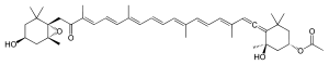 フコキサンチン分子構造
