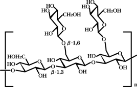 黒酵母β1.3-1.6グルカンの分子構造