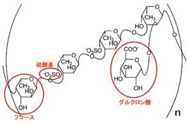 フコイダンの分子構造