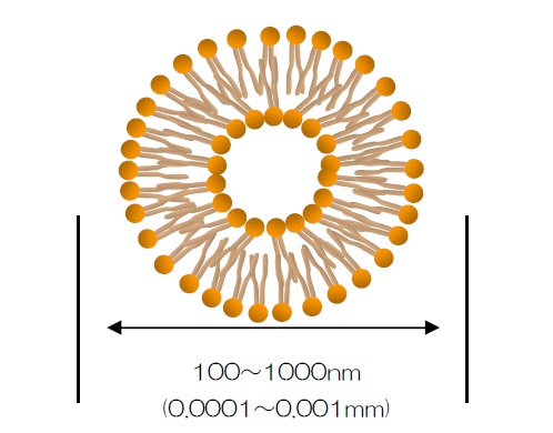 ナノカプセル　図解