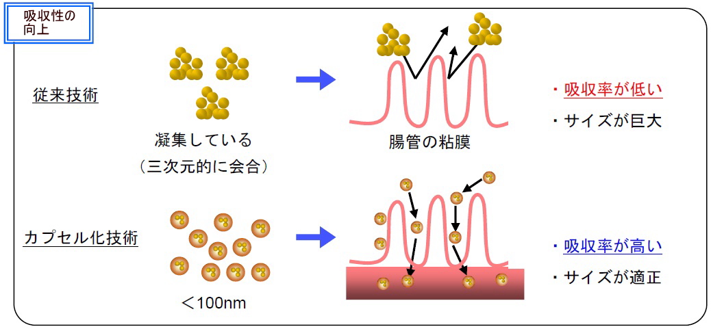 吸収性の向上