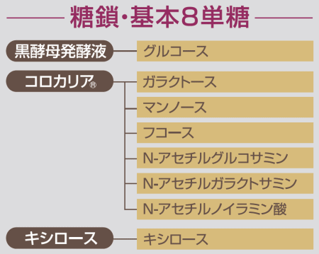 糖鎖基本8単糖