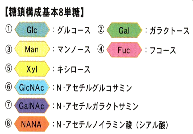 糖鎖を構成する8種類の単糖